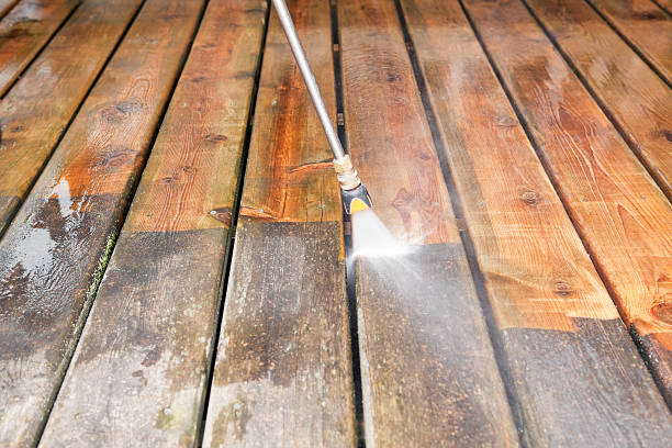 Best Sidewalk and Walkway Cleaning  in Lake Camelot, WI